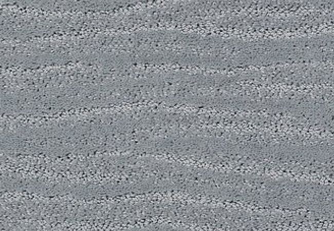 Anderson Tuftex Carpet Pose Edgewater