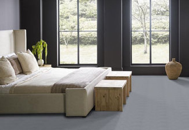 Anderson Tuftex Carpet Pose Edgewater view 3