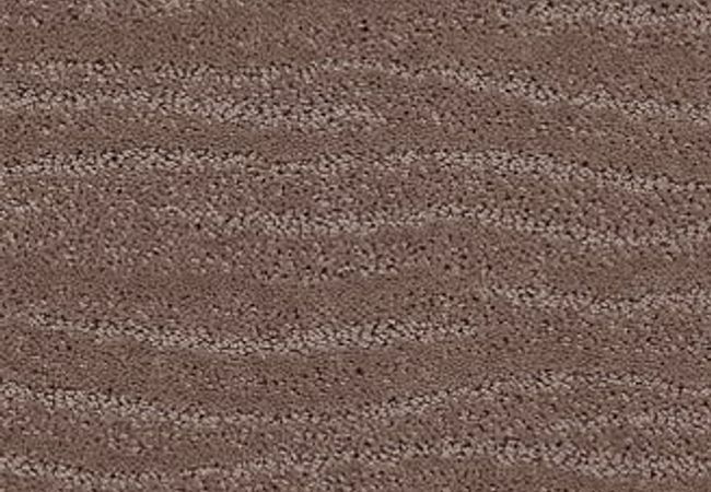 Anderson Tuftex Carpet Pose Enigma