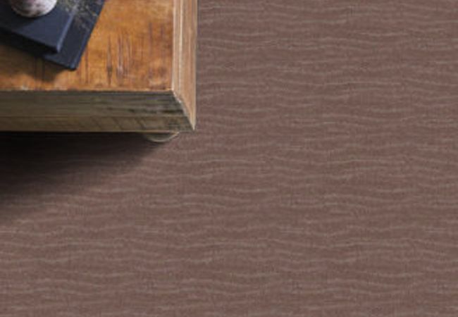 Anderson Tuftex Carpet Pose Enigma view 2