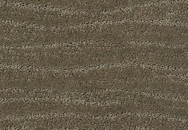 Anderson Tuftex Carpet Pose Herbal