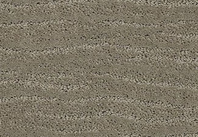 Anderson Tuftex Carpet Pose Intrigue