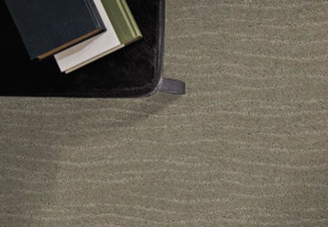 Anderson Tuftex Carpet Pose Intrigue view 2