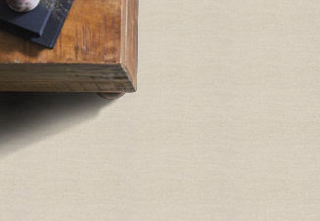 Anderson Tuftex Carpet Pose Minimal view 2