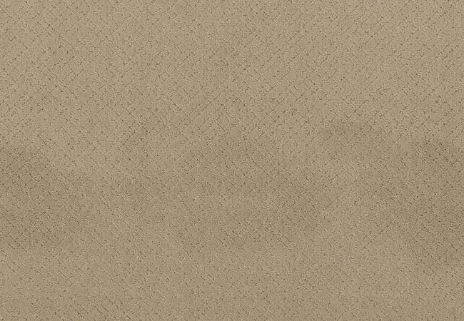 Anderson Tuftex Carpet Pose Oak Ridge