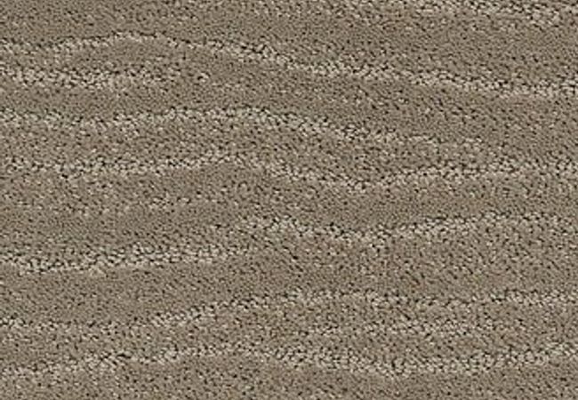 Anderson Tuftex Carpet Pose Reflection