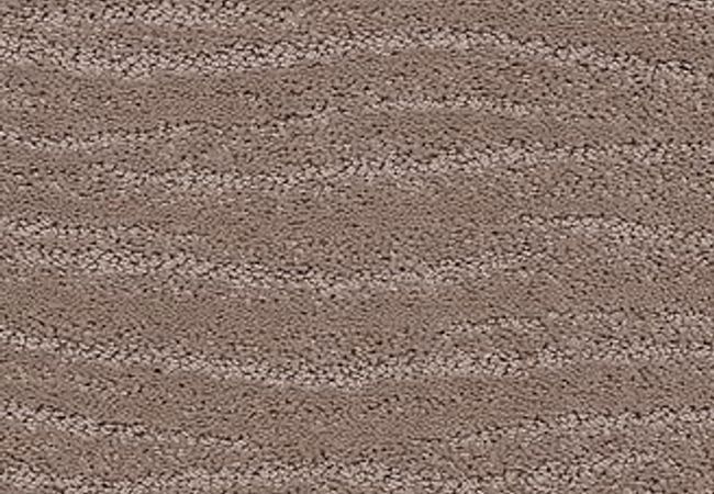 Anderson Tuftex Carpet Pose Socialite