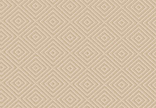 Anderson Tuftex Carpet Private Retreat Sheer Sunlight