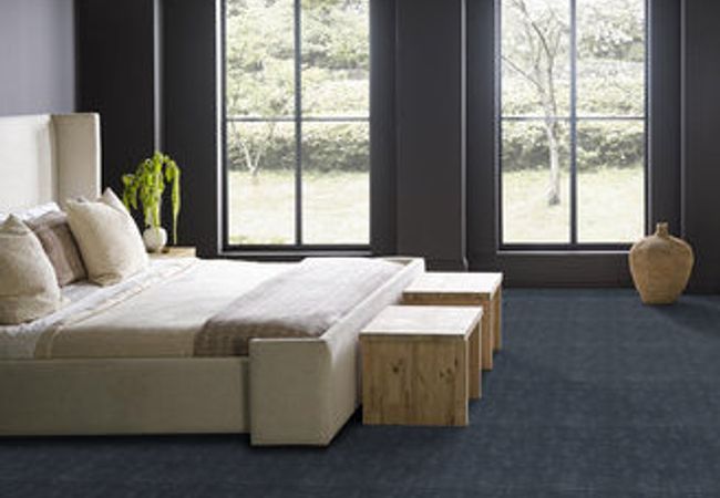 Anderson Tuftex Carpet Private Retreat Solstice view 3