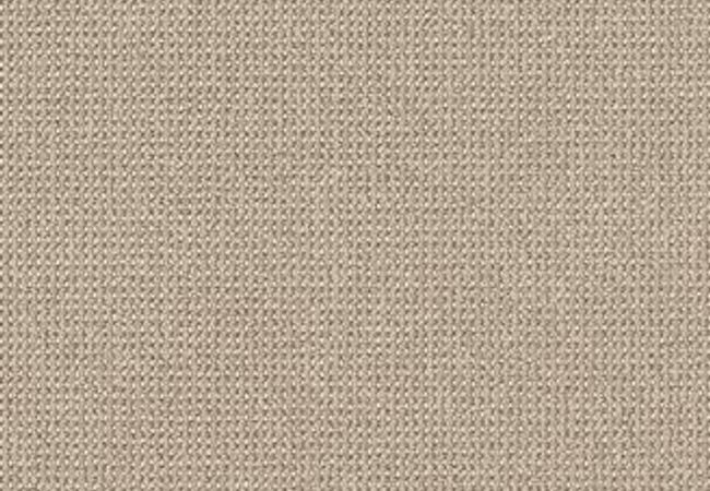 Anderson Tuftex Carpet Purrfection Champagne