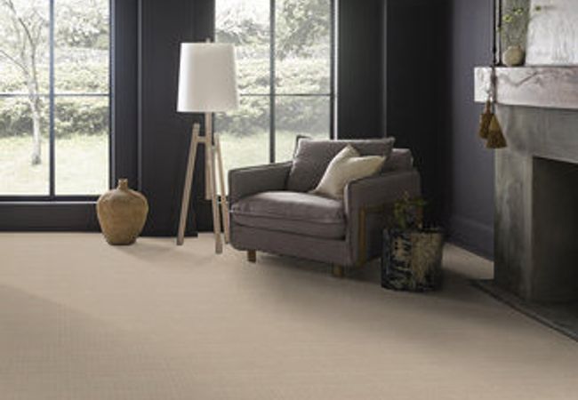 Anderson Tuftex Carpet Purrfection Champagne view 2