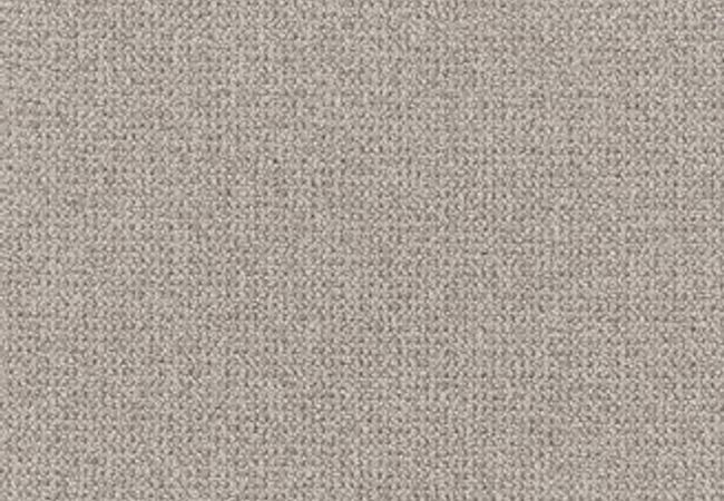 Anderson Tuftex Carpet Purrfection Flagstone