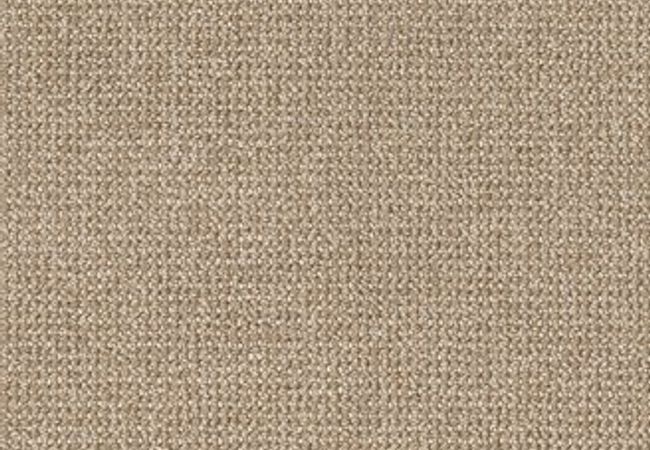 Anderson Tuftex Carpet Purrfection Great Plains