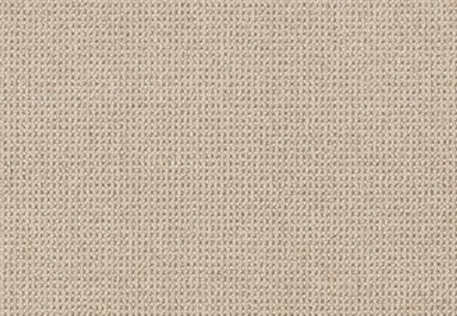 Anderson Tuftex Carpet Purrfection Matchstick