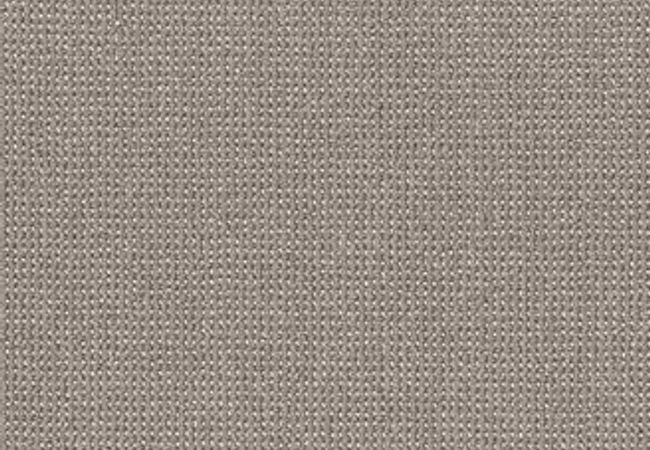 Anderson Tuftex Carpet Purrfection Metropolis