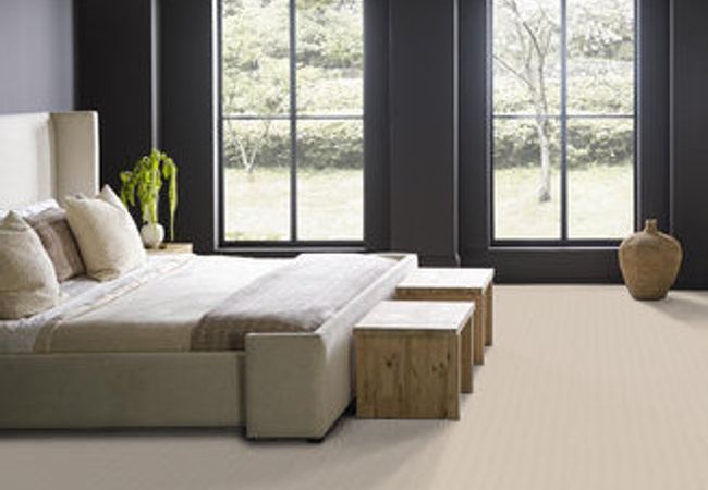 Anderson Tuftex Carpet Purrfection Olympic view 2