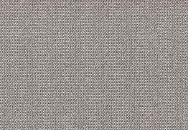 Anderson Tuftex Carpet Purrfection Platinum