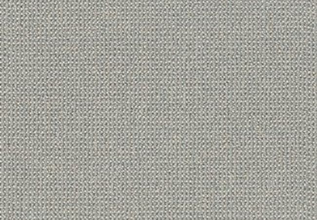 Anderson Tuftex Carpet Purrfection Solitude