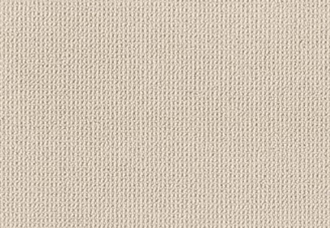 Anderson Tuftex Carpet Purrfection White Sand