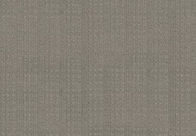 Anderson Tuftex Carpet Purrsuasion Backdrop