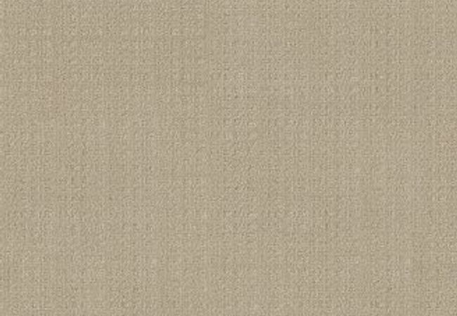 Anderson Tuftex Carpet Purrsuasion Blonde