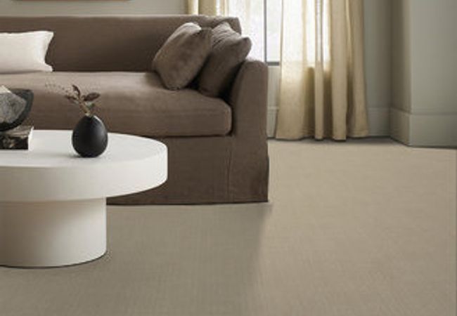 Anderson Tuftex Carpet Purrsuasion Blonde view 2