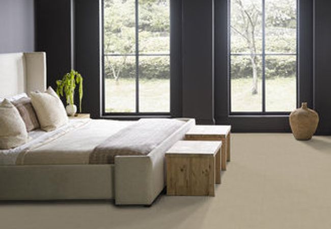 Anderson Tuftex Carpet Purrsuasion Blonde view 3