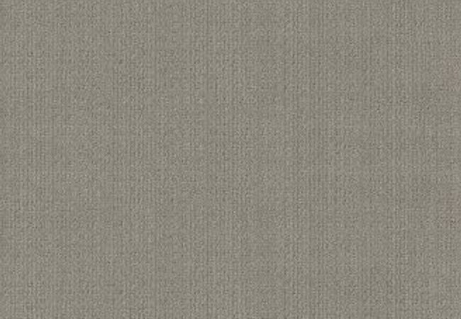 Anderson Tuftex Carpet Purrsuasion Cement