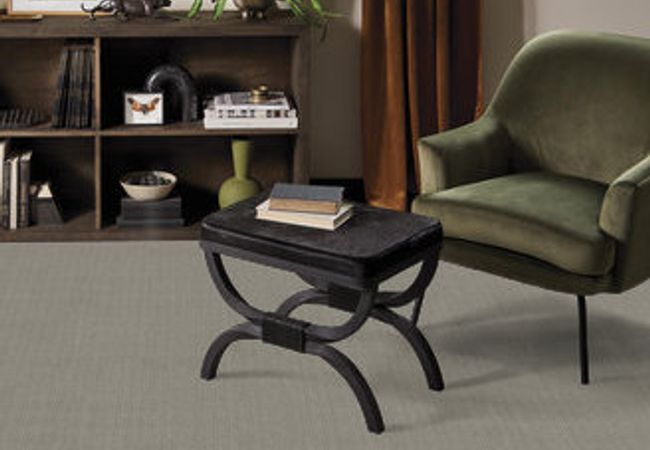 Anderson Tuftex Carpet Purrsuasion Cement view 2