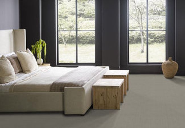 Anderson Tuftex Carpet Purrsuasion Cement view 3
