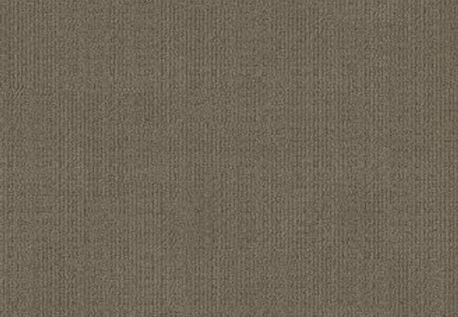 Anderson Tuftex Carpet Purrsuasion Craftsman