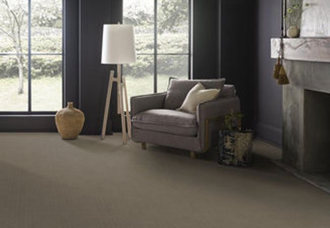 Anderson Tuftex Carpet Purrsuasion Craftsman view 2
