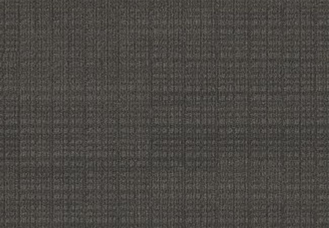 Anderson Tuftex Carpet Purrsuasion Cyberspace