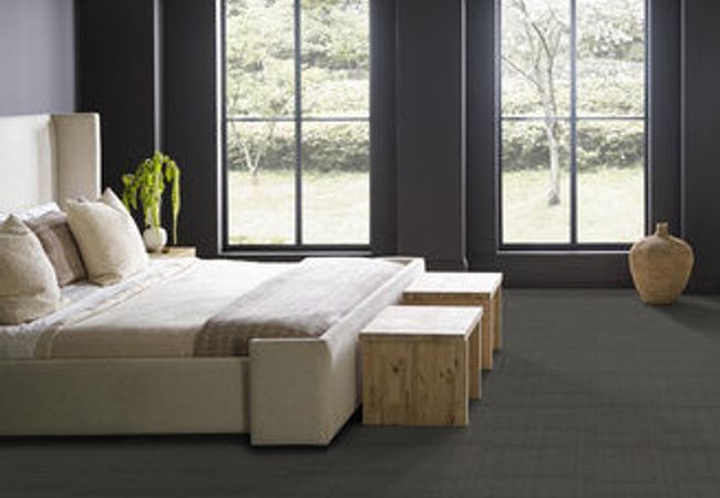 Anderson Tuftex Carpet Purrsuasion Cyberspace view 2