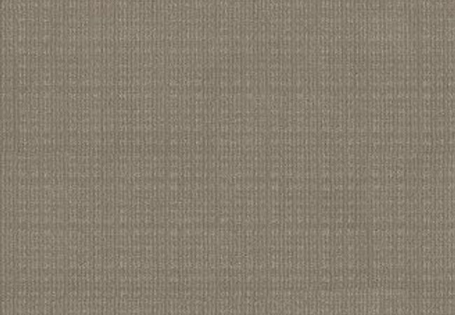 Anderson Tuftex Carpet Purrsuasion Favorite Tan