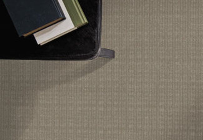 Anderson Tuftex Carpet Purrsuasion Favorite Tan view 2