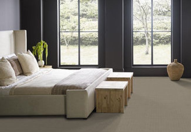 Anderson Tuftex Carpet Purrsuasion Favorite Tan view 3