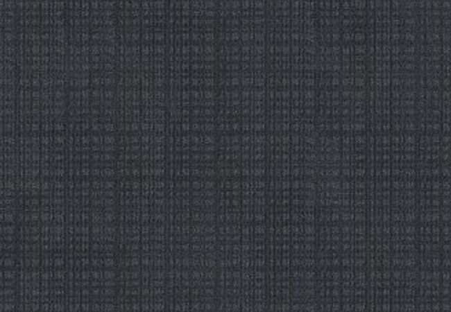 Anderson Tuftex Carpet Purrsuasion Leisure