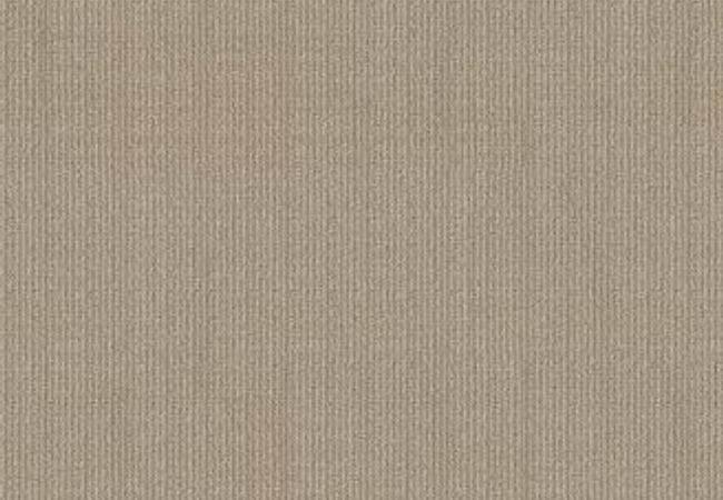 Anderson Tuftex Carpet Purrsuasion Simply Beige