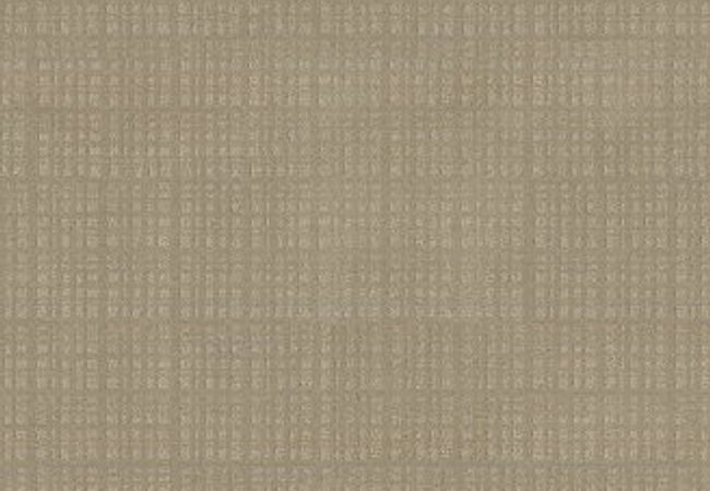 Anderson Tuftex Carpet Purrsuasion Sunrise