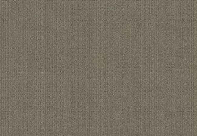 Anderson Tuftex Carpet Purrsuasion Urban Jungle