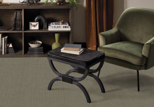 Anderson Tuftex Carpet Purrsuasion Urban Jungle view 2