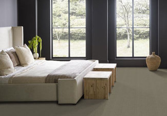 Anderson Tuftex Carpet Purrsuasion Urban Jungle view 3