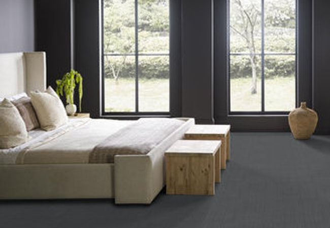 Anderson Tuftex Carpet Purrsuasion Waterloo view 3