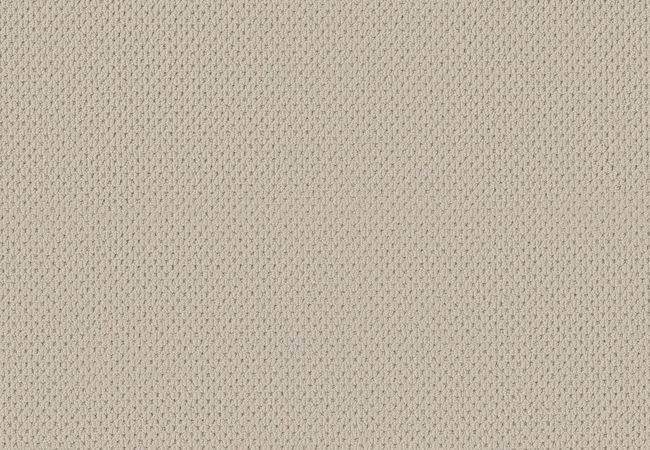 Anderson Tuftex Carpet San Lucas Aged White