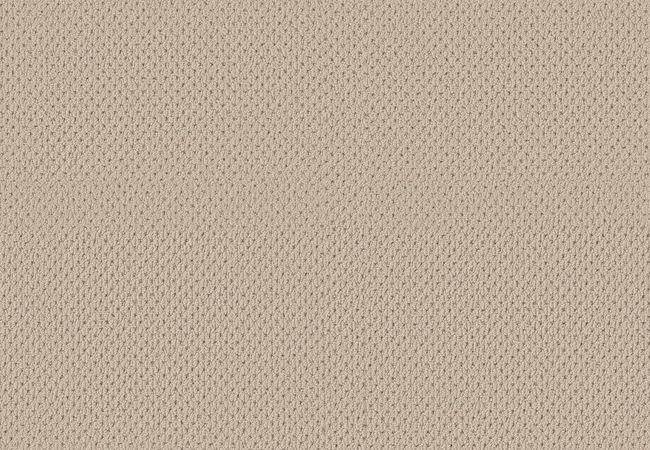 Anderson Tuftex Carpet San Lucas Beach Haven