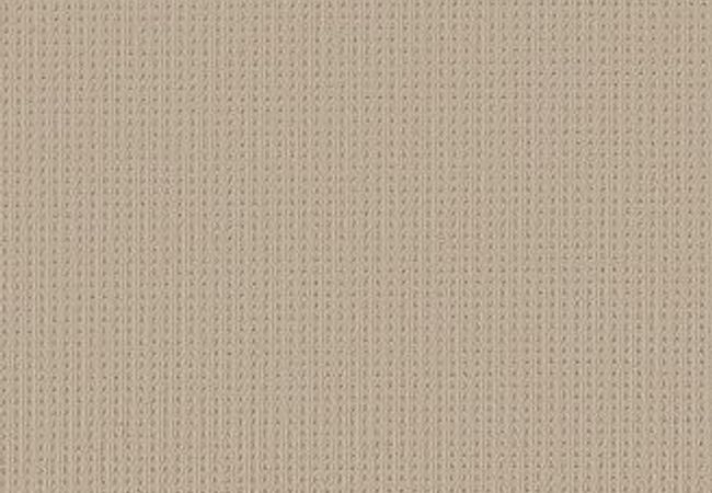 Anderson Tuftex Carpet San Lucas Biscuit