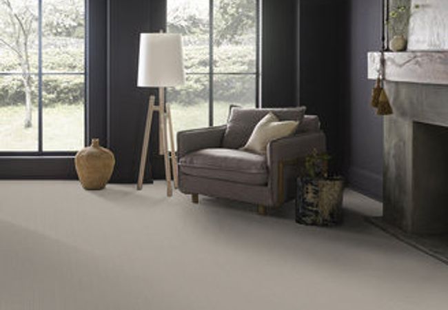 Anderson Tuftex Carpet San Lucas Classic view 2