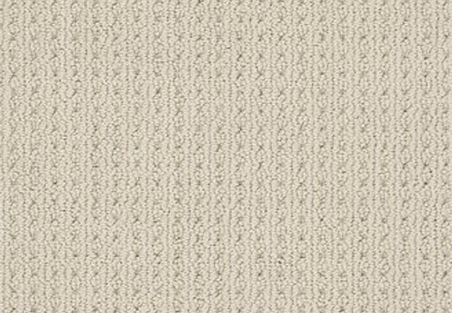 Anderson Tuftex Carpet San Lucas Fleece