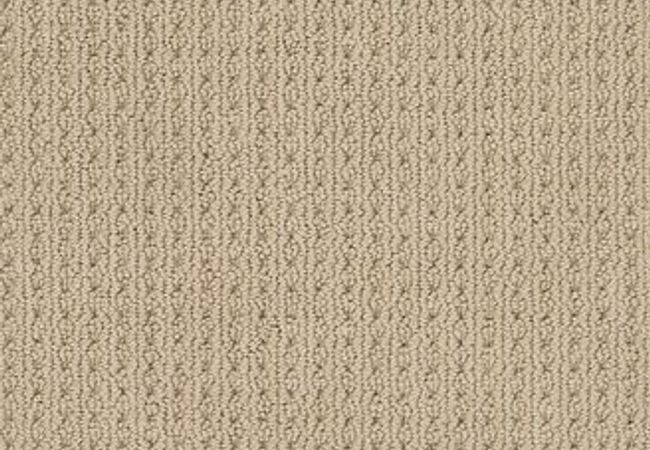 Anderson Tuftex Carpet San Lucas Golden